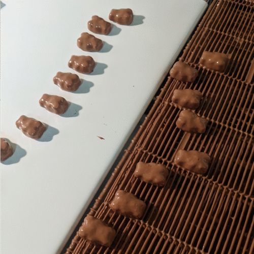 Chocolate covered Gummy Bears