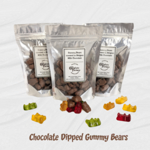 Chocolate Dipped Gummy Bears