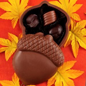 Chocolate Acorn Box