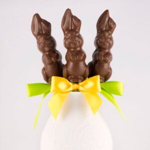 Milk Chocolate Floppy Eared Bunny Lolly