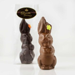 Sing chocolate Bunny