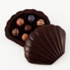 Chocolate seashell